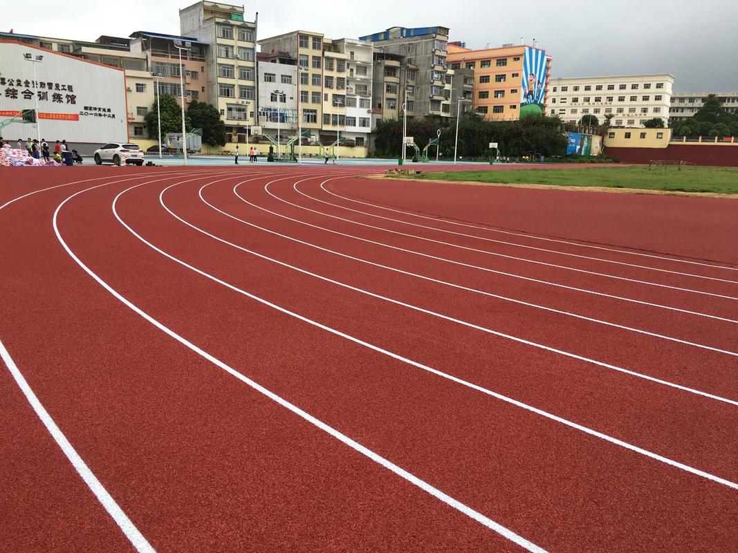 阿拉善盟EPDM颗粒塑胶跑道材料 - 排名
